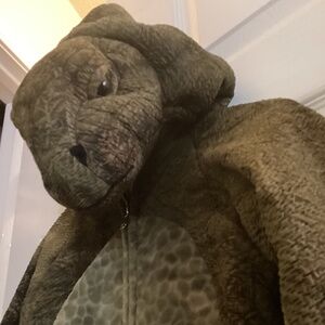 Dinosaur dragon Halloween costume size 4 to 6 year old